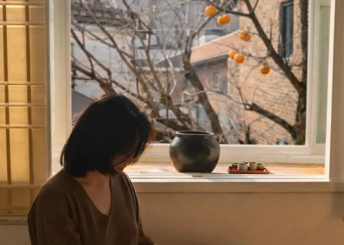 감나무 뷰 독채 숙소, 지하철역 도보3분,경복궁 5정거장, 공항버스 정류장 도보6분 * 서울특별시